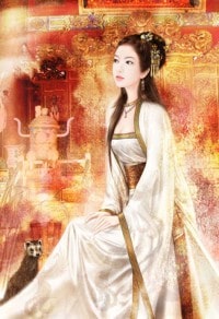 清穿之四爷皇妃