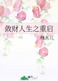 （BG/综同人）敛财人生之重启