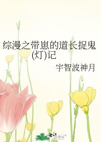 綜漫之帶崽的道長捉鬼(燈)記